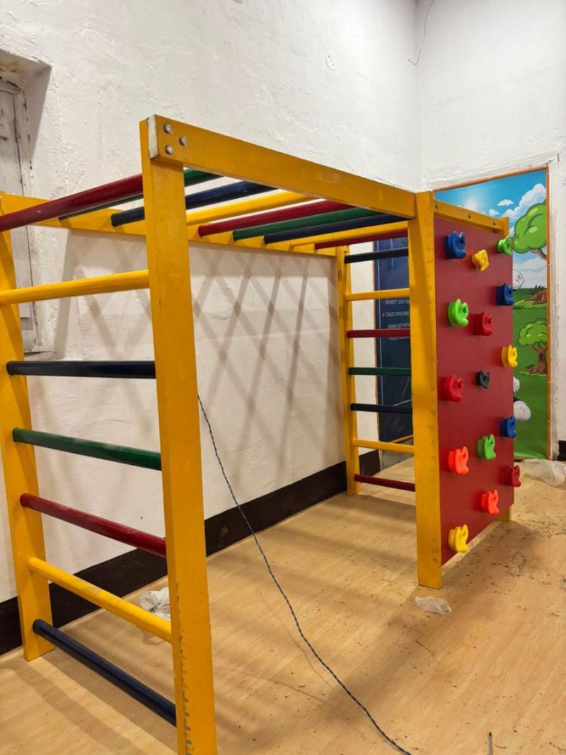 Monkey bar + Climbing Panel