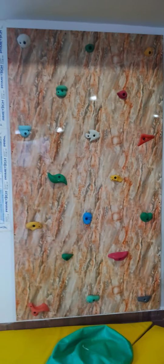 Wall climbing Panel